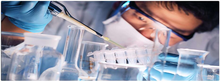 研發(fā)與服務(wù)平臺(tái)