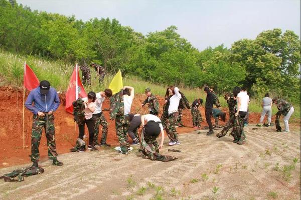 乾港集團,乾港官網(wǎng),乾港網(wǎng)絡(luò),室內(nèi)空氣凈化公司